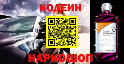 индика Жуковский