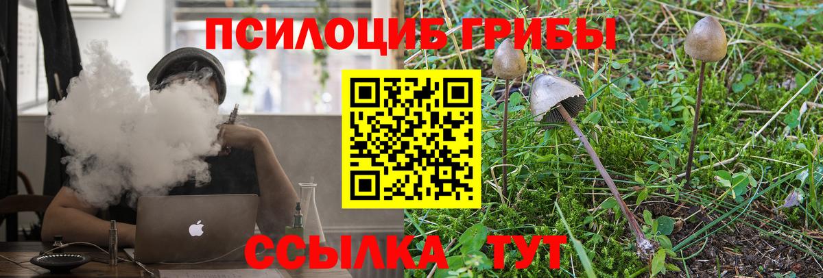 Галлюциногенные грибы GOLDEN TEACHER Малгобек