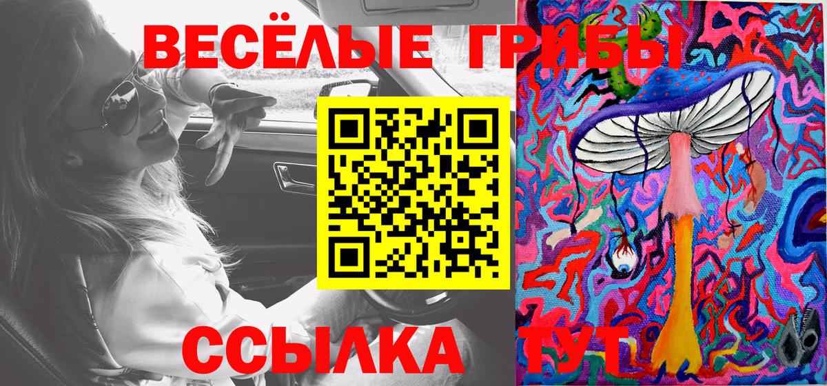 Малгобек  Галлюциногенные грибы мицелий  Вход с VPN 